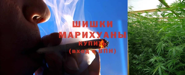 шишки Балабаново