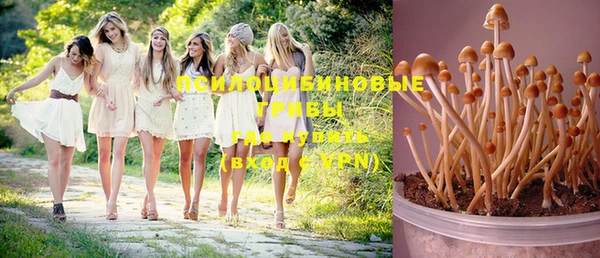 шишки Балабаново